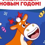 Елизавета Н