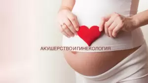 Фотография Клиника семейного врача 4